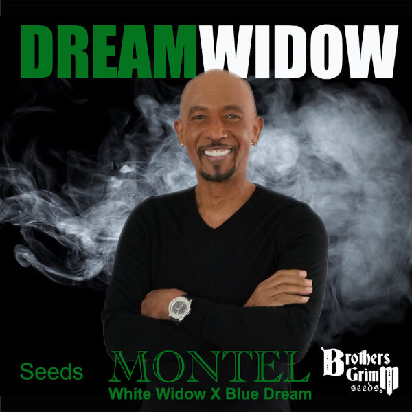 Brothers Grimm Seeds Montel's Dream Widow