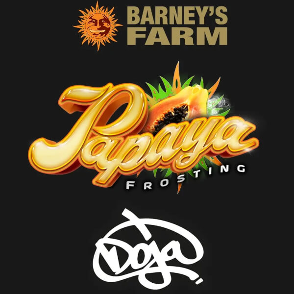 Barney's Farm Seeds Papaya Frosting (Doja Collab)