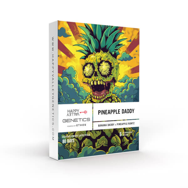 pineapple daddy frame 1 front_600x600.jpg