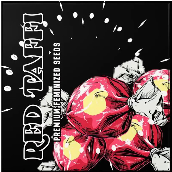 Doja Seeds Red Taffi