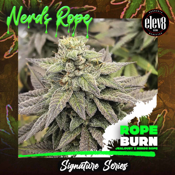 Elev8 Seeds Rope Burn