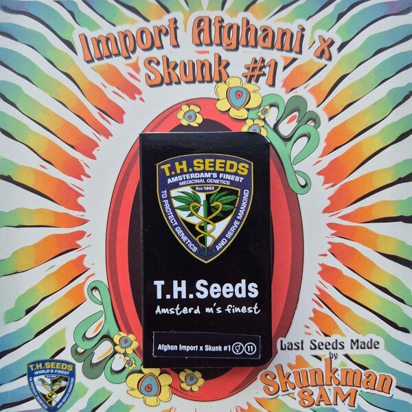 TH Seeds Import Afghani x Skunk #1 (thseeds)