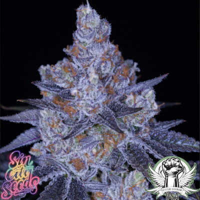 SinCity Seeds Sticky Strawberries