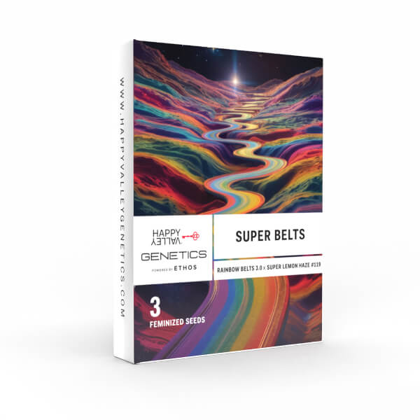 super belts 3_600x600.jpg