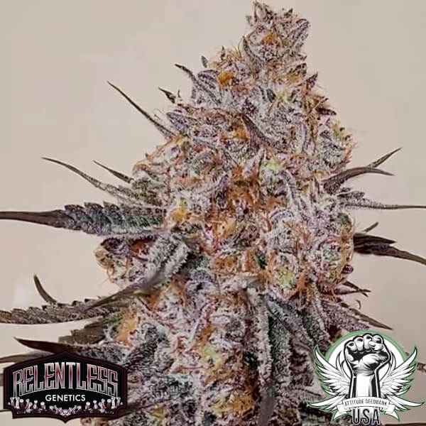 trop strawberry 3_600x600.jpg