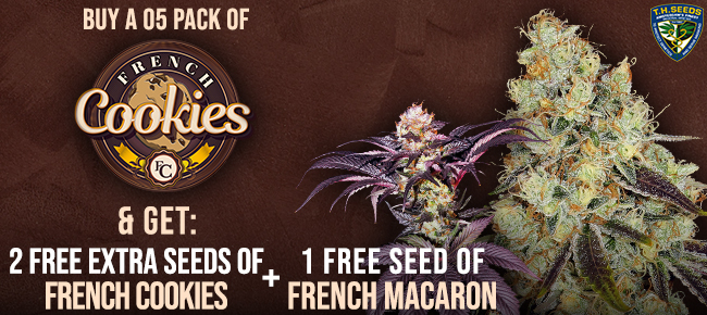TH Seeds - Buy French Cookies - Get 2 additional seeds