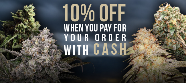 10% Off When You Pay With Cash / Money Order