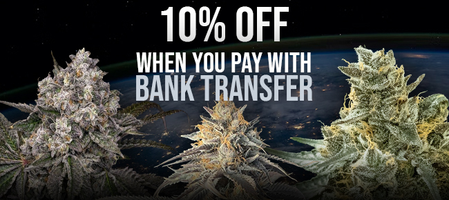 Bank Transfer - 10% Off