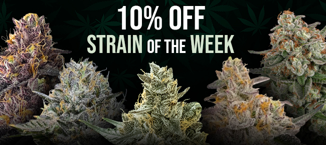 Strain of the Week - 10% Off