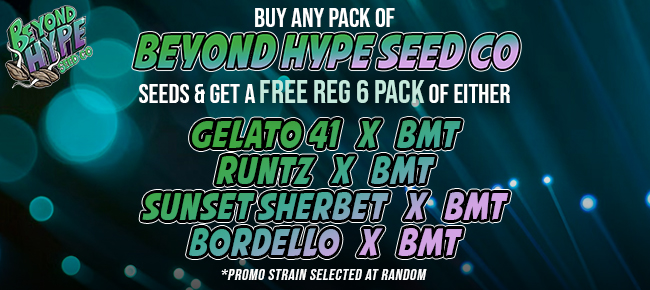 Beyond Hype - Buy Any Pack - Get Random 6 Pack