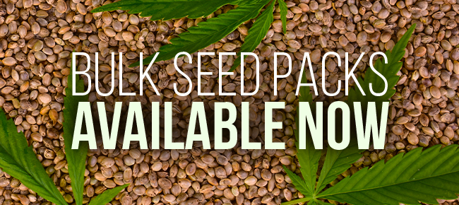 Bulk Seeds - Now Available