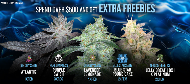 The Attitude Seedbank USA - Promotions, Deals and Discounts