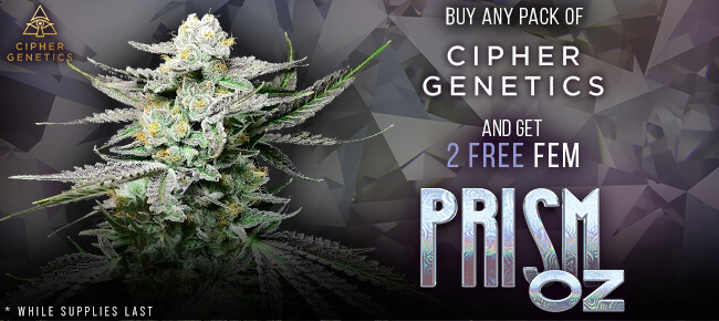 Cipher Genetics - Buy Any Pack - Get 2 FEM Prism OZ