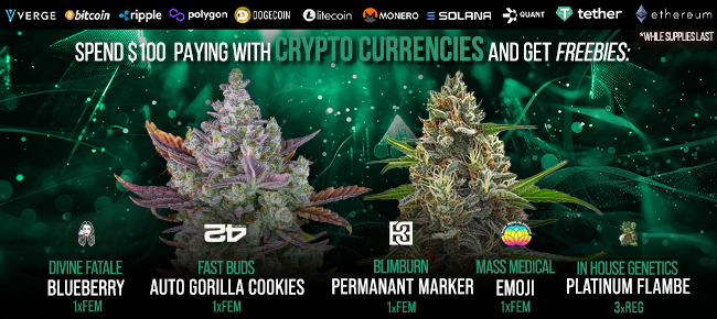 Spend $100 with Crypto Currencies - Get FREEBIES!