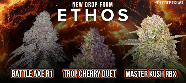 Ethos Genetics - New Drop