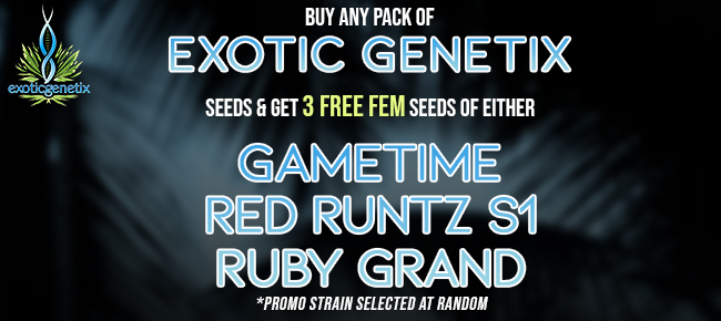 Exotic Genetix - Buy any RED RUNTZ RELOADED pack - Receive 3 free FEM seeds
