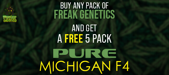 Freak Genetics - Buy Any Pack - Get 5 REG Pure Michigan F4