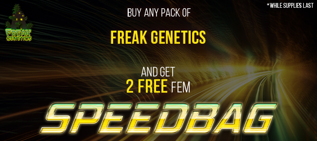 Freak Genetics - Buy Any Pack - Get 2 FEM Speed Bag seeds FREE!