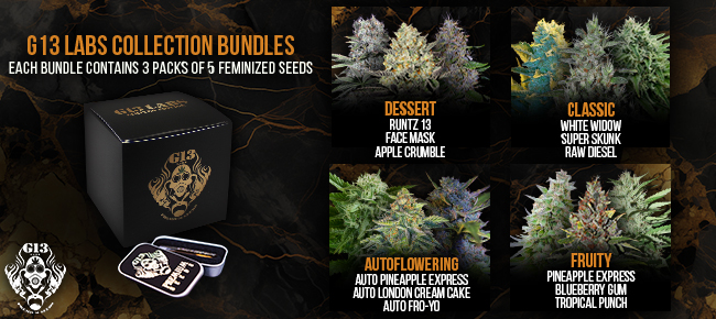 G13 Labs - Collection Bundles Now Available