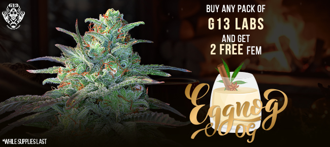 G13 Labs - Buy Any Pack - Get 2 FEM Eggnog OG
