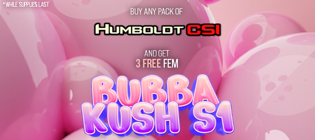 Humboldt CSI - Buy Any Pack - Get 3 FEM Bubba Kush S1
