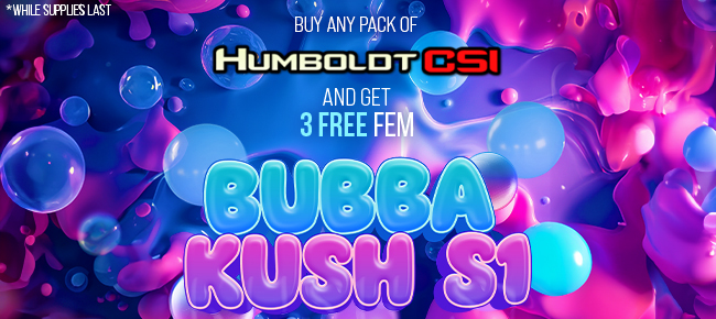 Humboldt CSI - Buy Any Pack - Get 3 FEM Bubba Kush S1