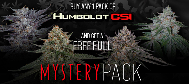 Humboldt CSI - Buy Any Pack - Get a Mystery Pack Free While Supplies Last