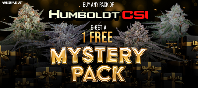 Humboldt CSI - Buy Any Pack - Get a REG or FEM Mystery Pack Free While Supplies Last