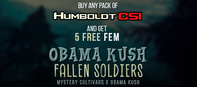 Humboldt CSI - Buy Any Pack - Get 5 FEM Obama Kush Fallen Soldiers