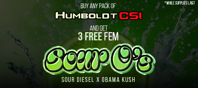 Humboldt CSI - Buy Any Pack - Get 3 FEM Sour O's seeds FREE! While Supplies Last