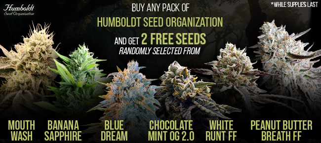 Humboldt Seed Organization - Buy Any Pack - Get 2 Randomly Seleted Seeds