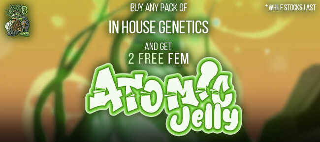 In House Genetics - Buy Any Pack - Get 2 FEM Atomic Jelly