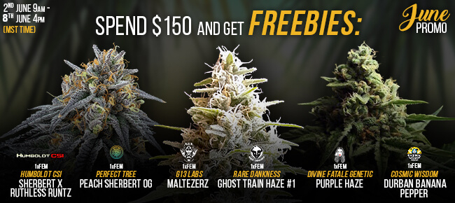 June Promo - Spend $150 - Get 6 FEM Seeds