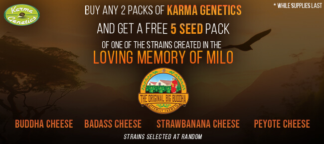 Karma Genetics - Buy Any 2 Packs - Get Random 5 Seed Milo Memorial Pack