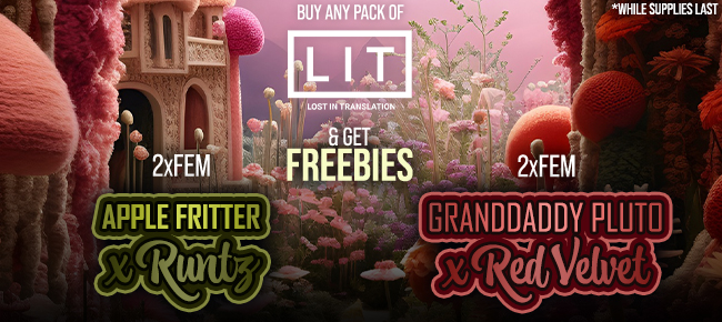 LIT Farms - Buy Any Pack - Get 2 FEM Apple Fritter x Runtz + 2 FEM Granddaddy Pluto x Red Velvet