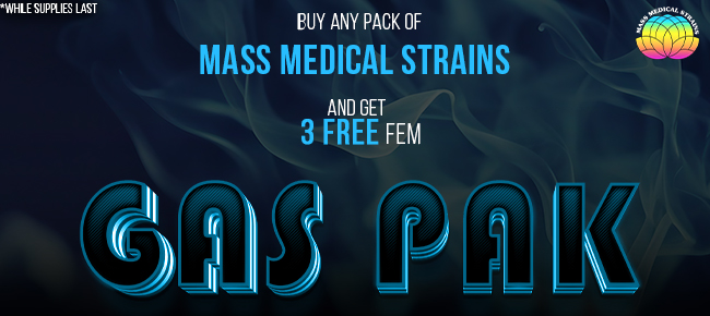 Mass Medical Strains - Buy Any Pack - Get 3 FEM Gas Pak seeds FREE!