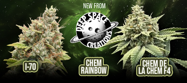 Deep Space Creations - New Strains - I-70, Chem Rainbow, Chem de la Chem F4