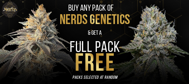 Nerds Genetics - Buy Any Pack - Get Random Full Pack FREE (12 REG or 6 FEM)