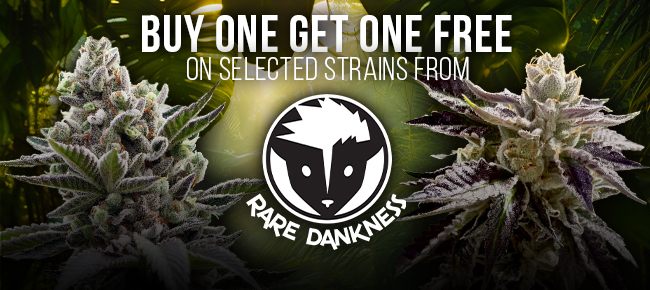 Rare Dankness - Buy One Get One Free on Selected Strains