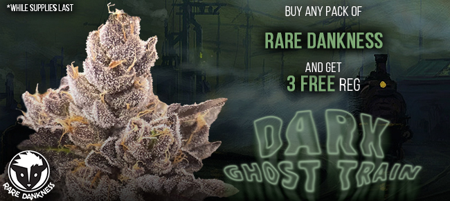 Rare Dankness - Buy Any Pack - Get 3 REG Dark Ghost Train seeds FREE!