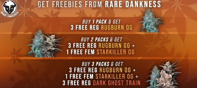 Rare Dankness - Buy 1 to 3 Packs - Get 3 to 7 Freebie Seeds