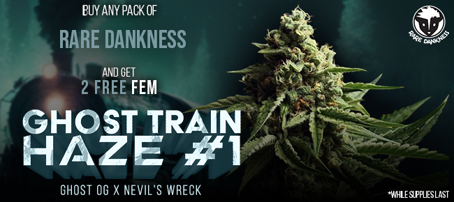 Rare Dankness - Buy Any Pack - Get 2 FEM Ghost Train Haze #1