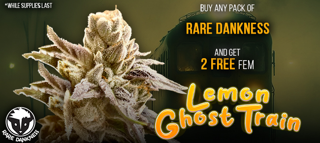 Rare Dankness - Buy Any Pack - Get 2 FEM Lemon Ghost Train