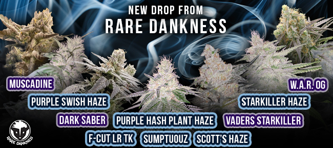 Rare Dankness - New Drop