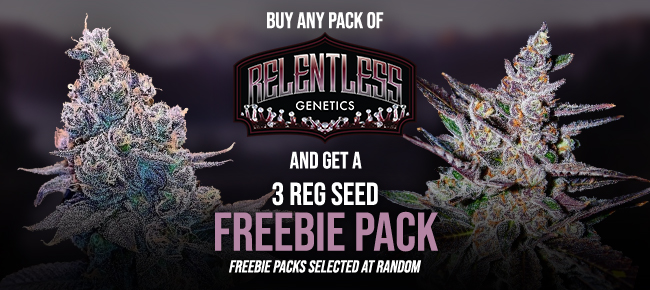 Relentless Genetics - Buy Any Pack - Get 3 REG Random Seeds