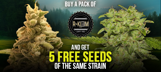 R-Kiem Seeds - Buy Any Pack - Get 5 More Seeds of the Same Strain