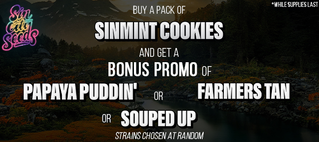 SinCity Seeds - Buy SinMint Cookies - Get Random FEM Bouns Promo Pack