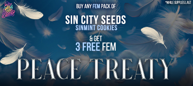 SinCity Seeds - Buy Any Pack of SinMint Cookies FEM - Get 3 FEM Peace Treaty