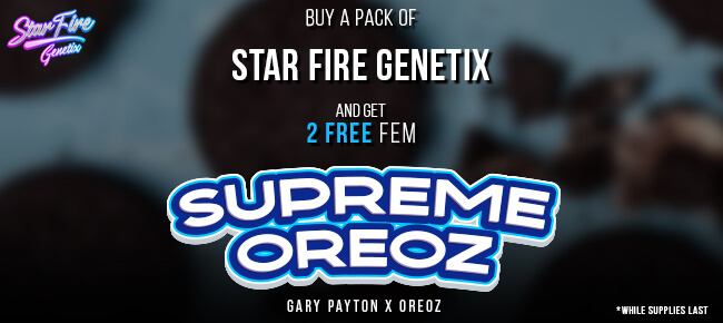 StarFire Genetix - Buy Any Pack - Get 2 FEM Supreme Oreoz