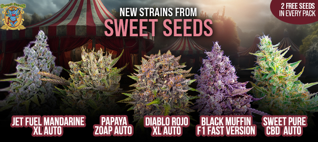 The Attitude Seedbank USA - Promotions, Deals and Discounts